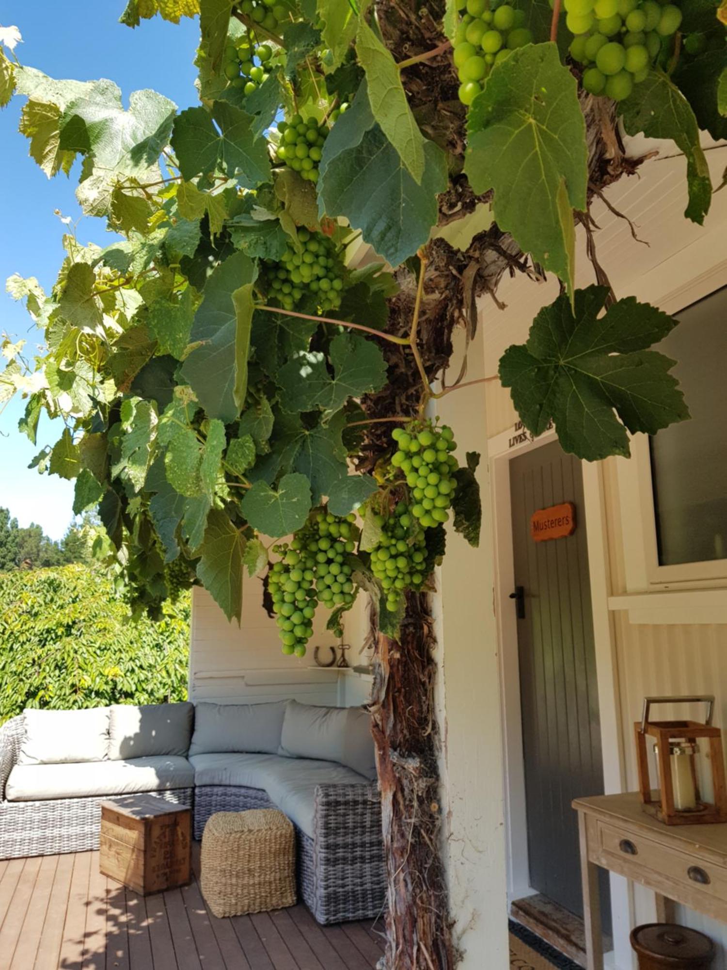 Karetu Downs Farm Stay Hawarden Exterior foto